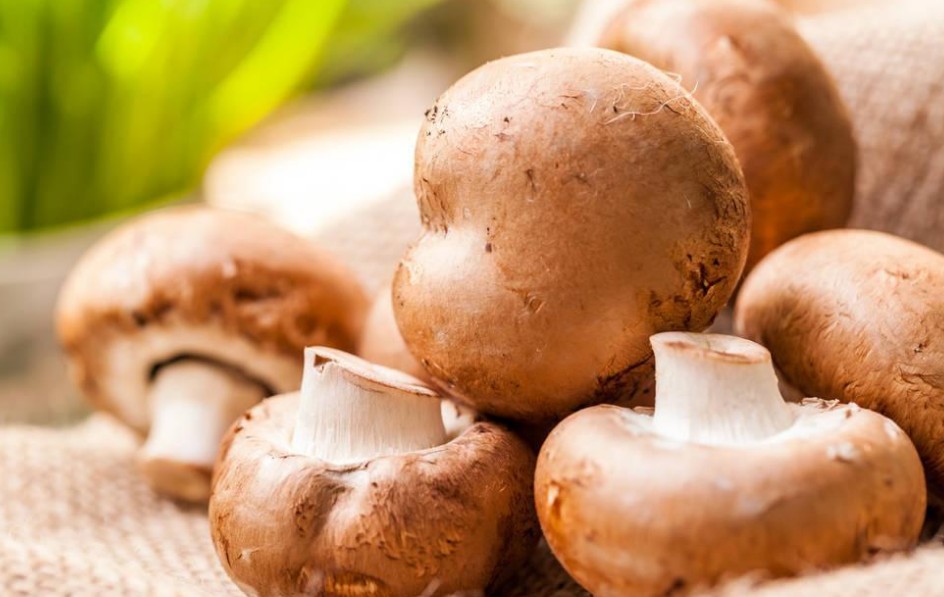 草菇产品的加工方法 来源 兰茂药材网